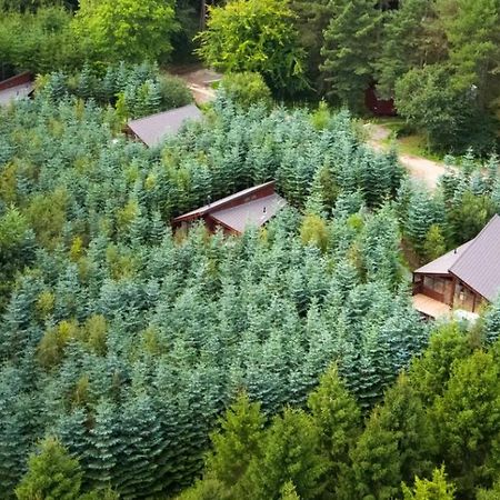 Delamere Forest Cabins - Forest Holidays Mouldsworth Esterno foto