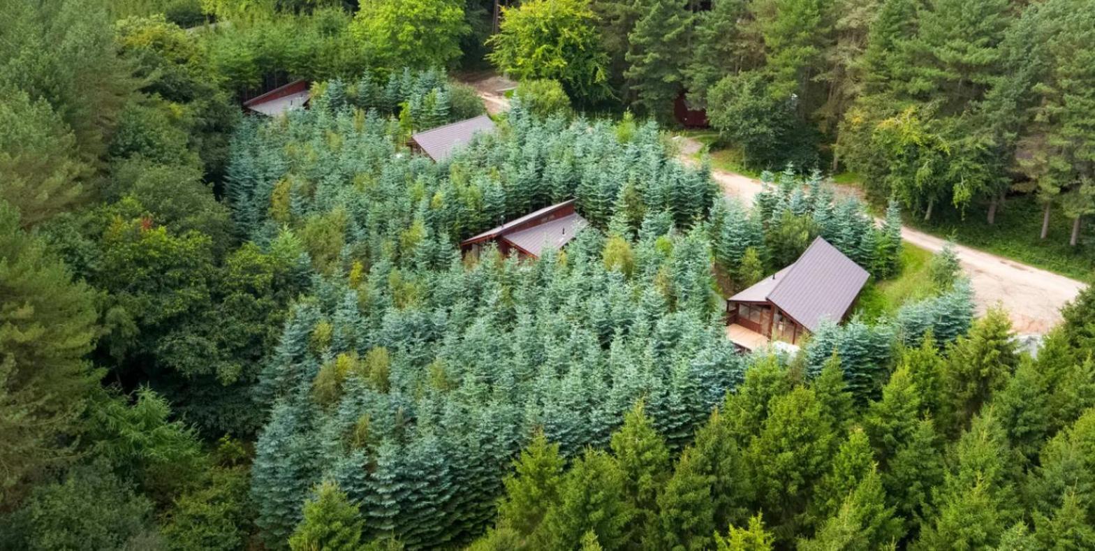 Delamere Forest Cabins - Forest Holidays Mouldsworth Esterno foto